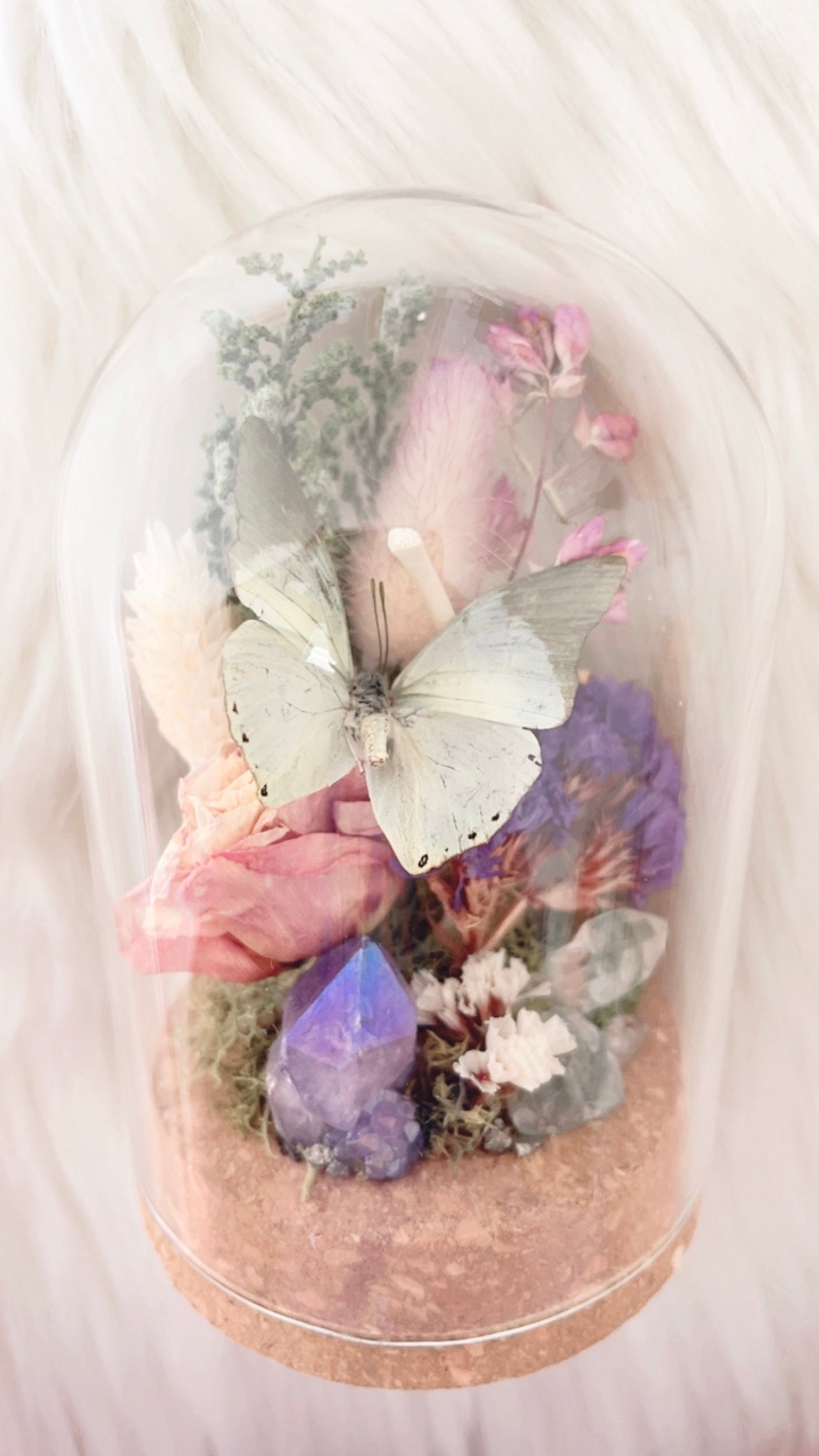 Eden Terrarium