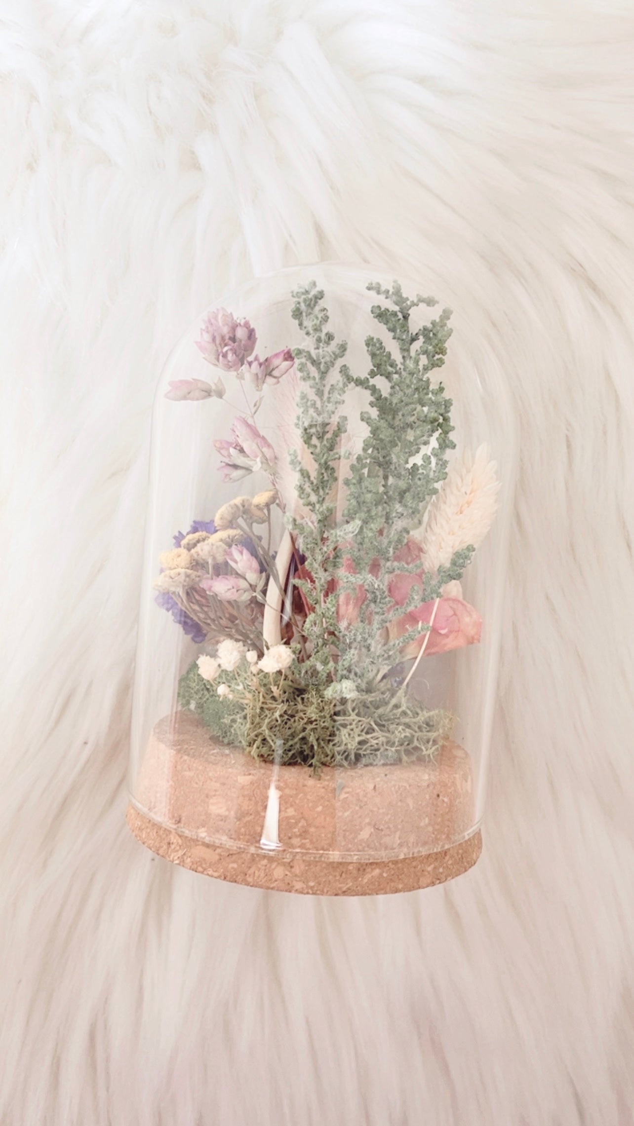 Eden Terrarium