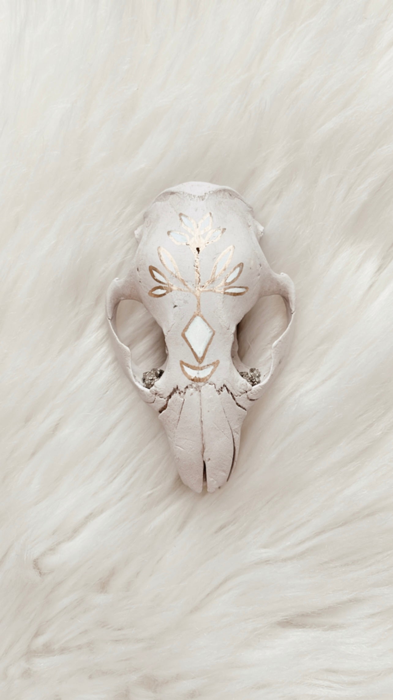 Eleanor Beaver Skull