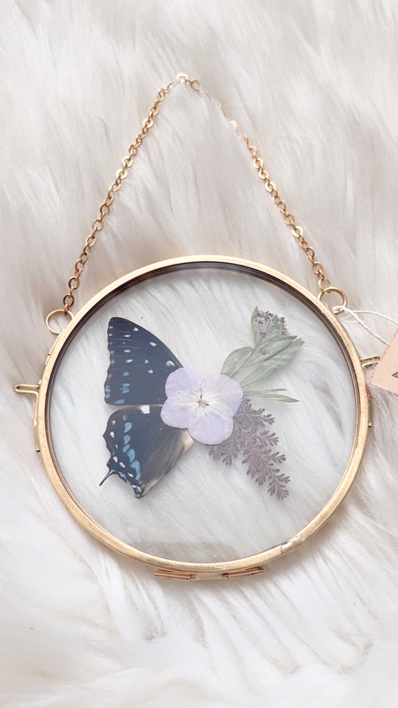 Eliza Butterfly Floral Frame <4in>
