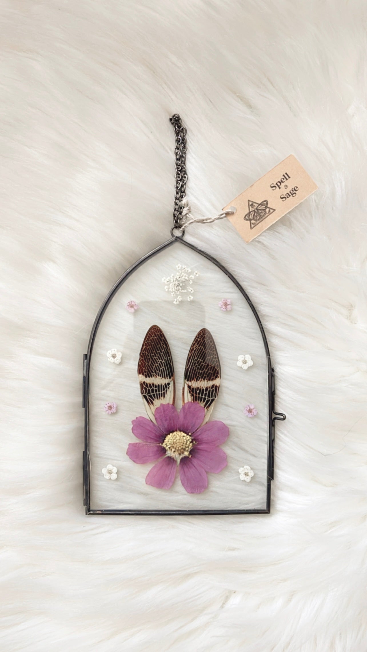 Eliza Cicada Floral Frame <4x6in>