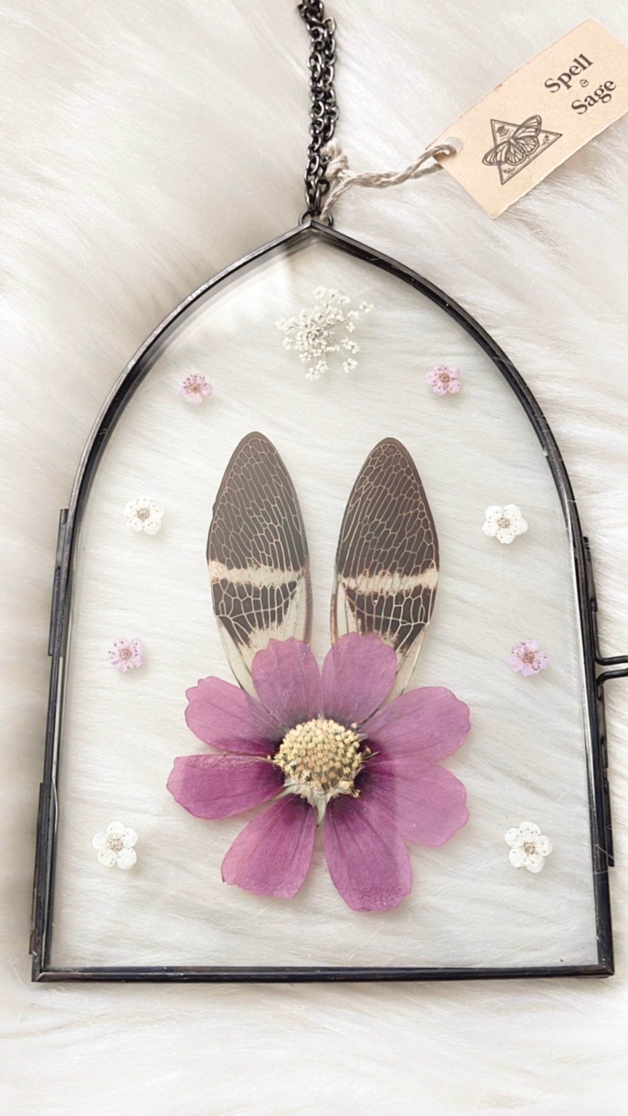 Eliza Cicada Floral Frame <4x6in>