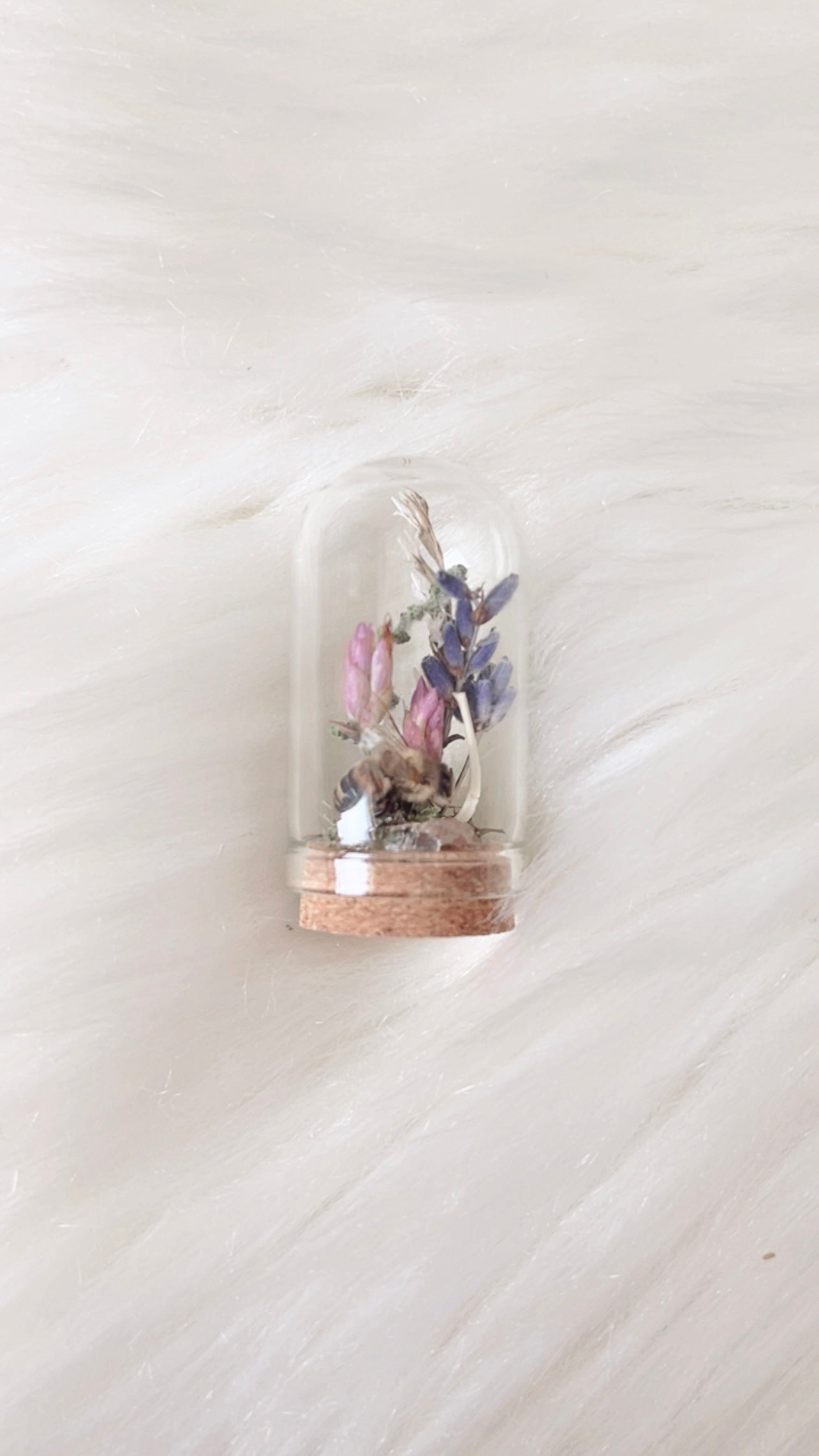 Ellie Mini Terrarium