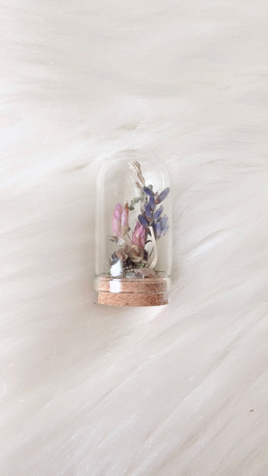 Ellie Mini Terrarium