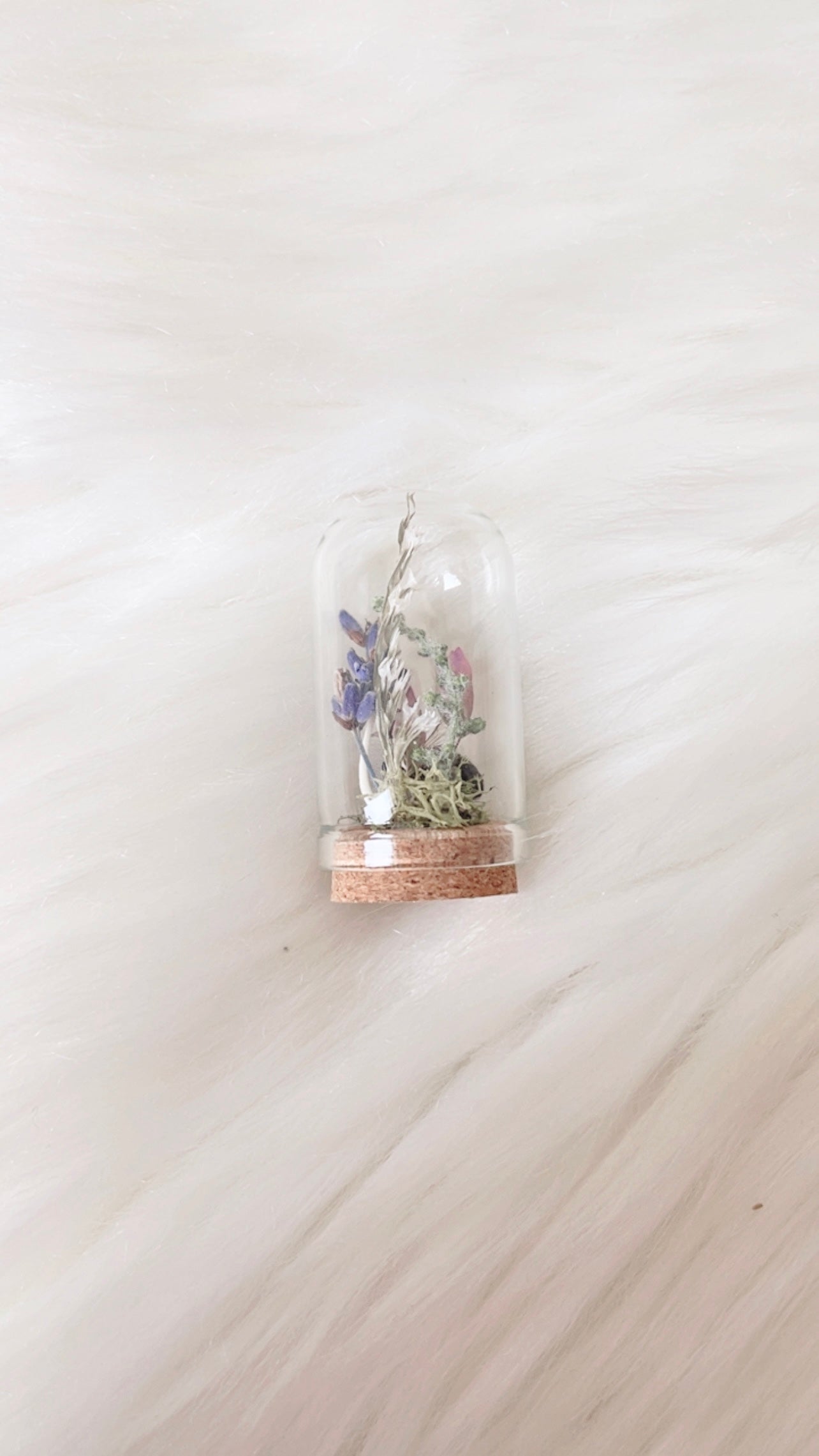 Ellie Mini Terrarium