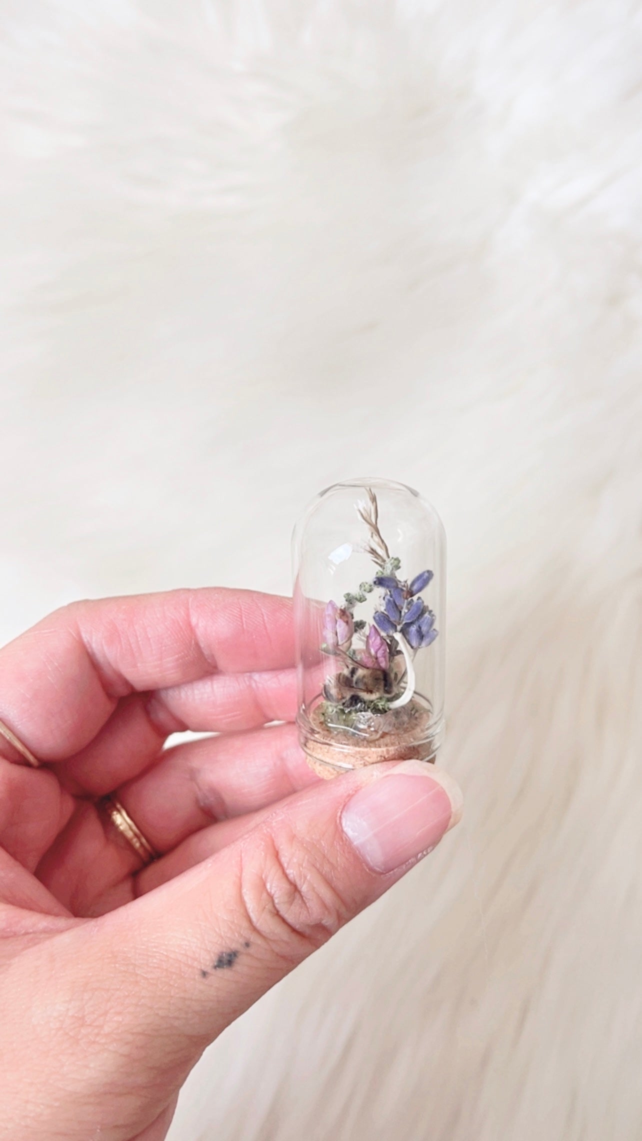 Ellie Mini Terrarium
