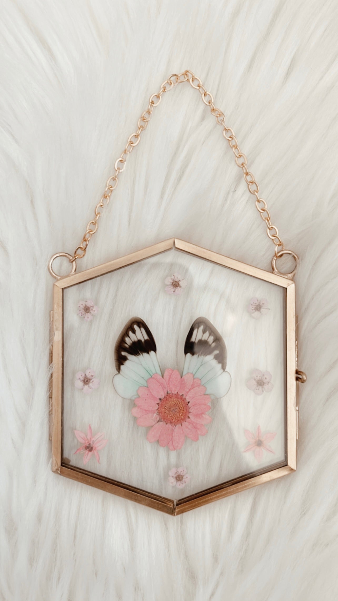 Elodie Cicada Floral Frame