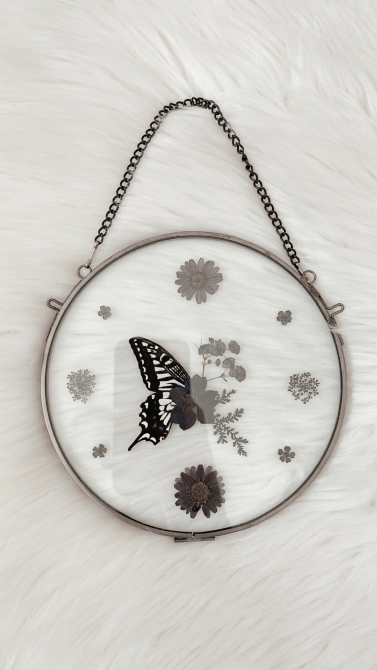 Eloise Butterfly Floral Frame