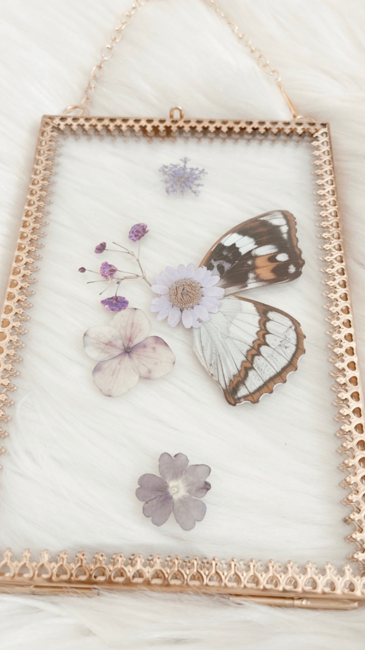 Elyna Butterfly Floral Frame