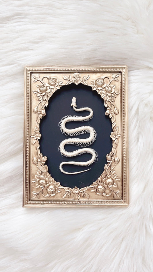 Emily Snake Skelly Frame