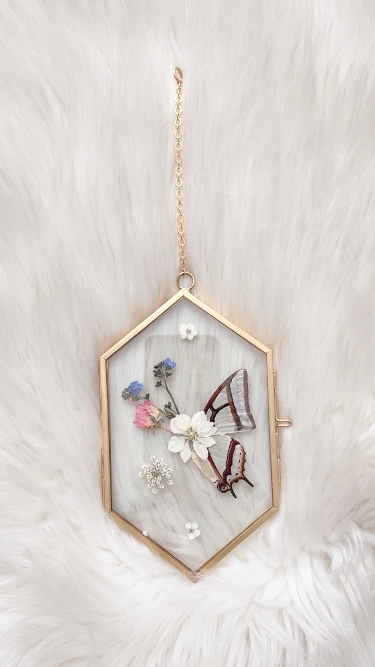 Emma Butterfly Floral Frame <3.5x6in>