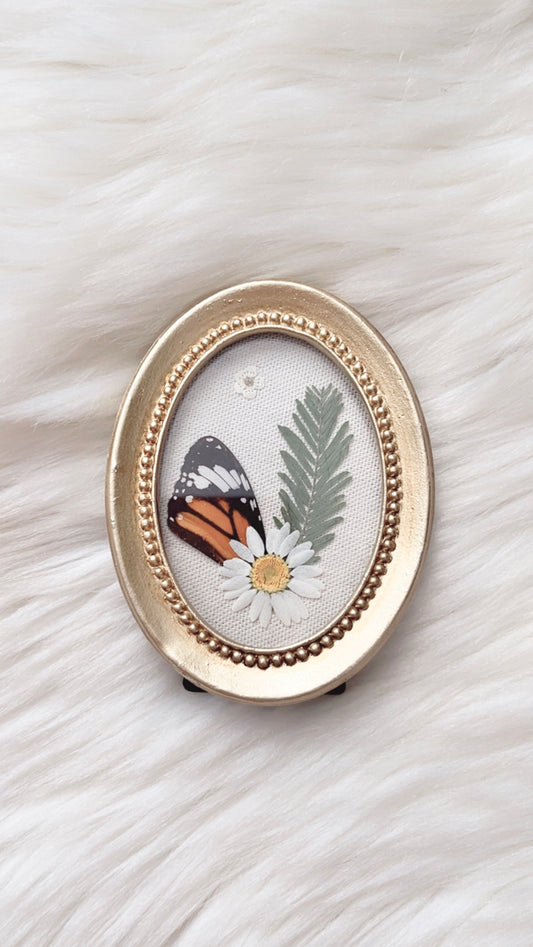 Emmeline Butterfly Ornate Frame