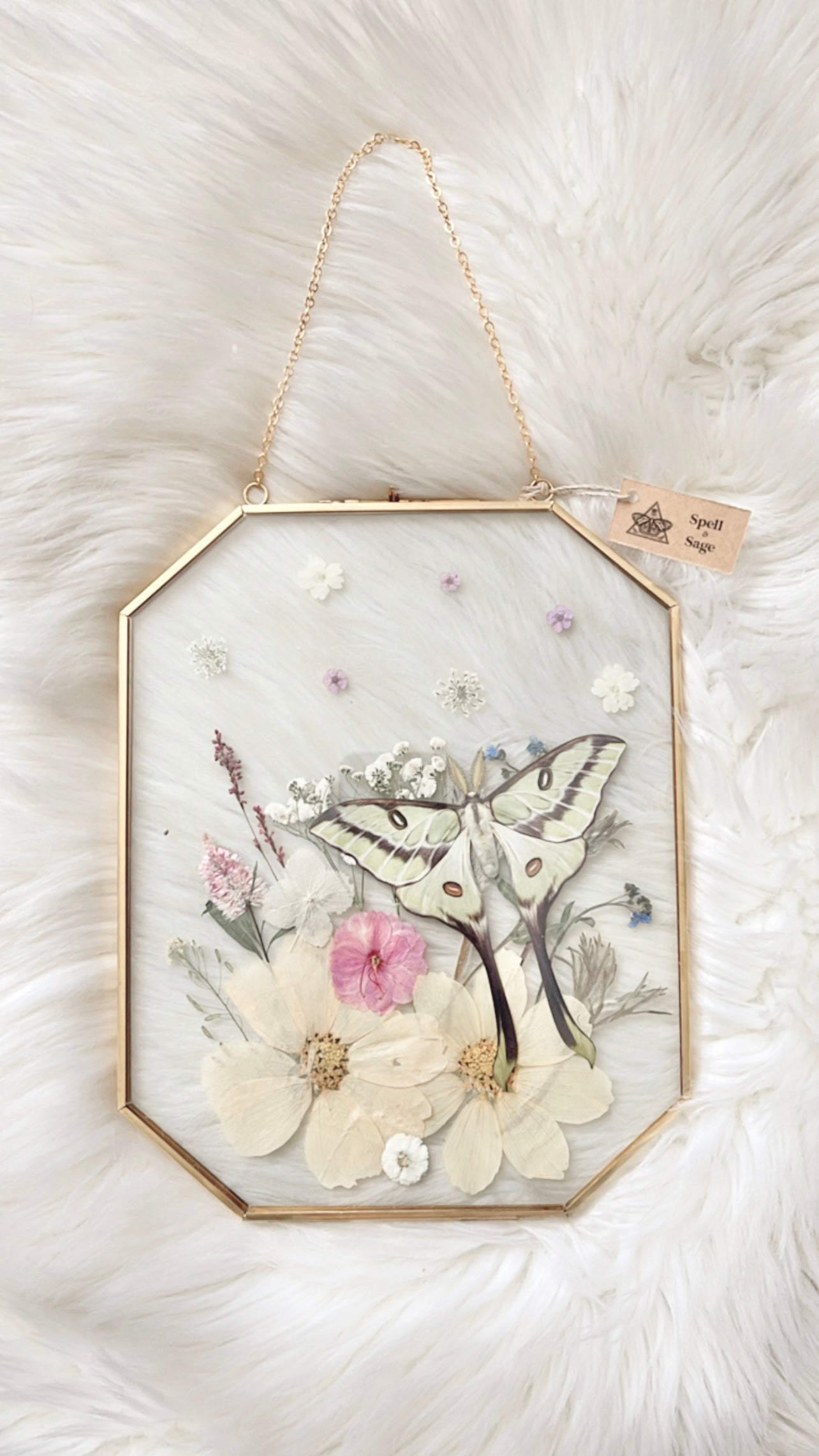 Emmeline Paper Replica Floral Frame <8x10in>