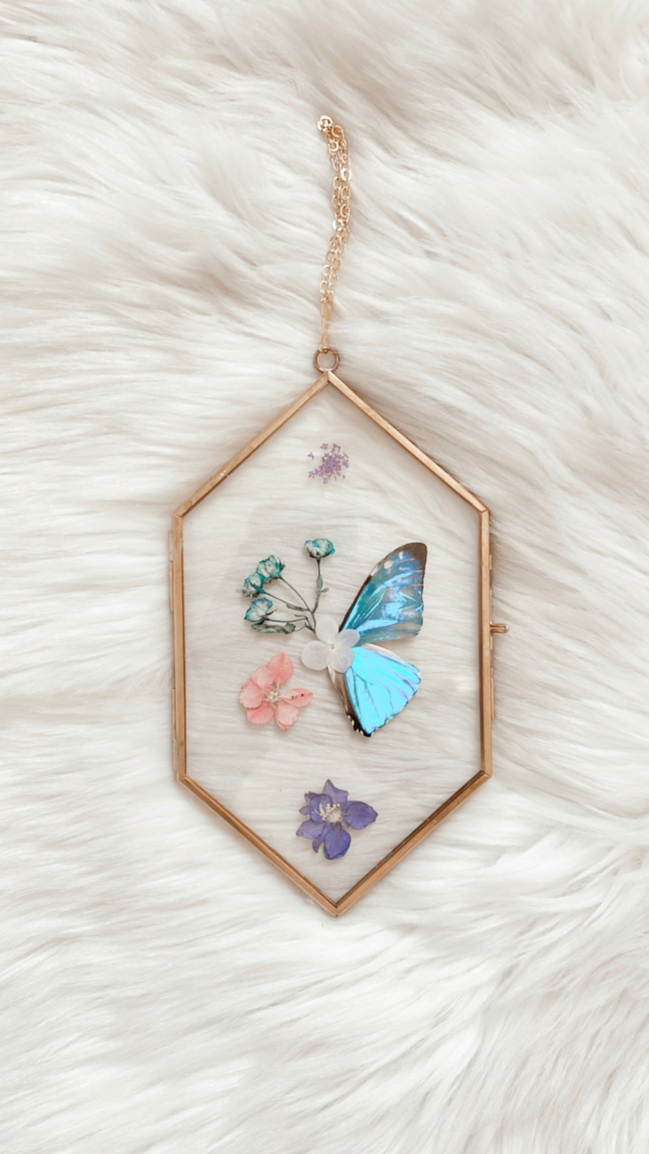 Esme Butterfly Floral Frame