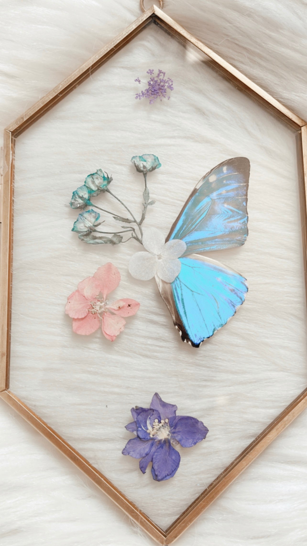 Esme Butterfly Floral Frame