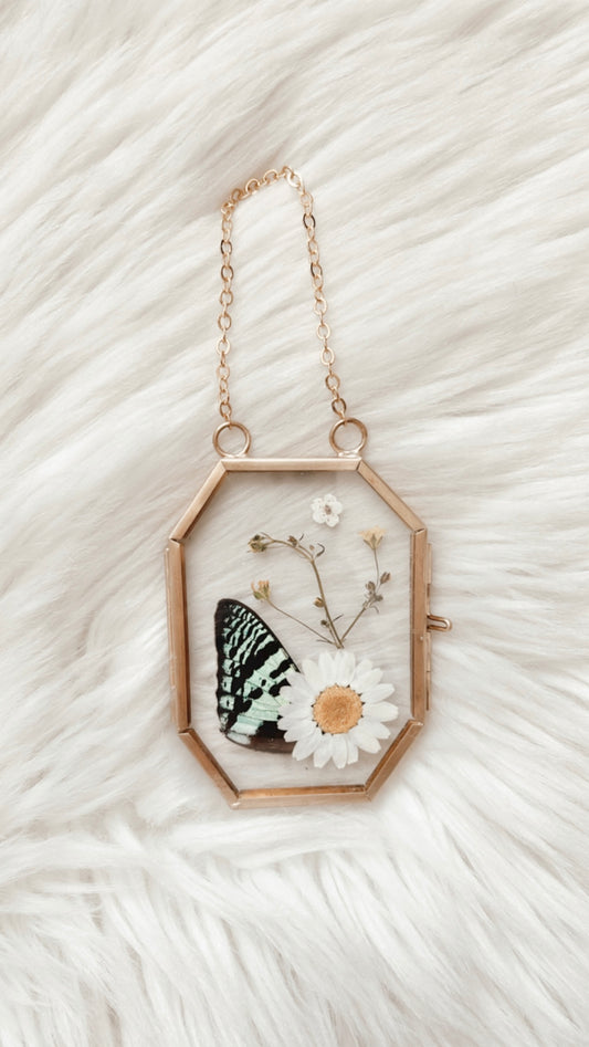 Esme Moth Floral Frame