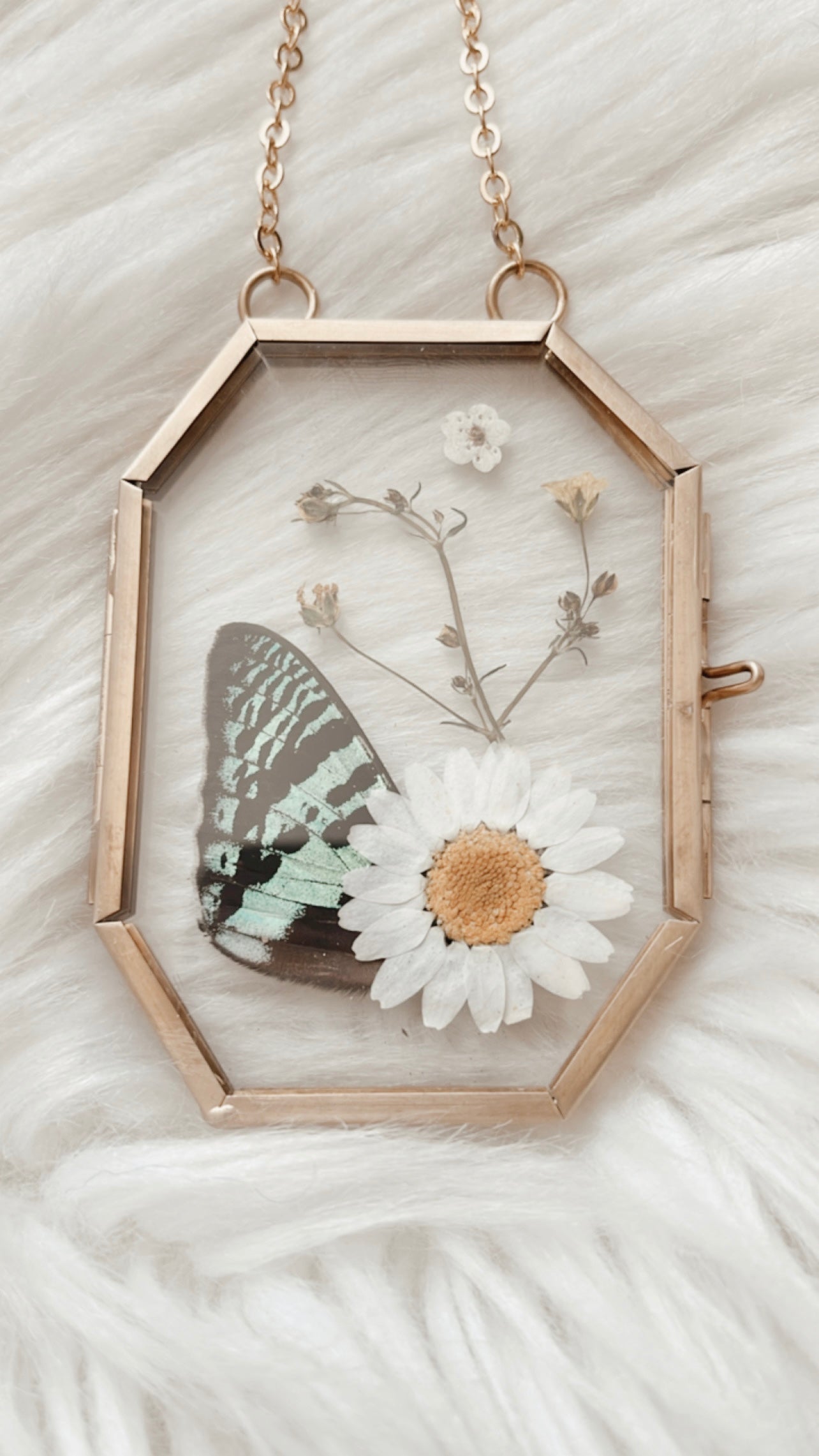 Esme Moth Floral Frame