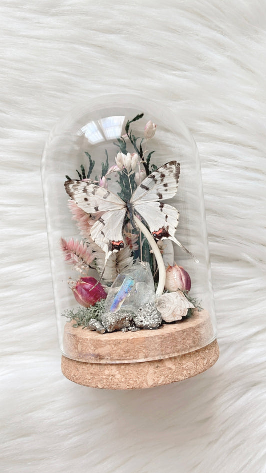 Esme Terrarium