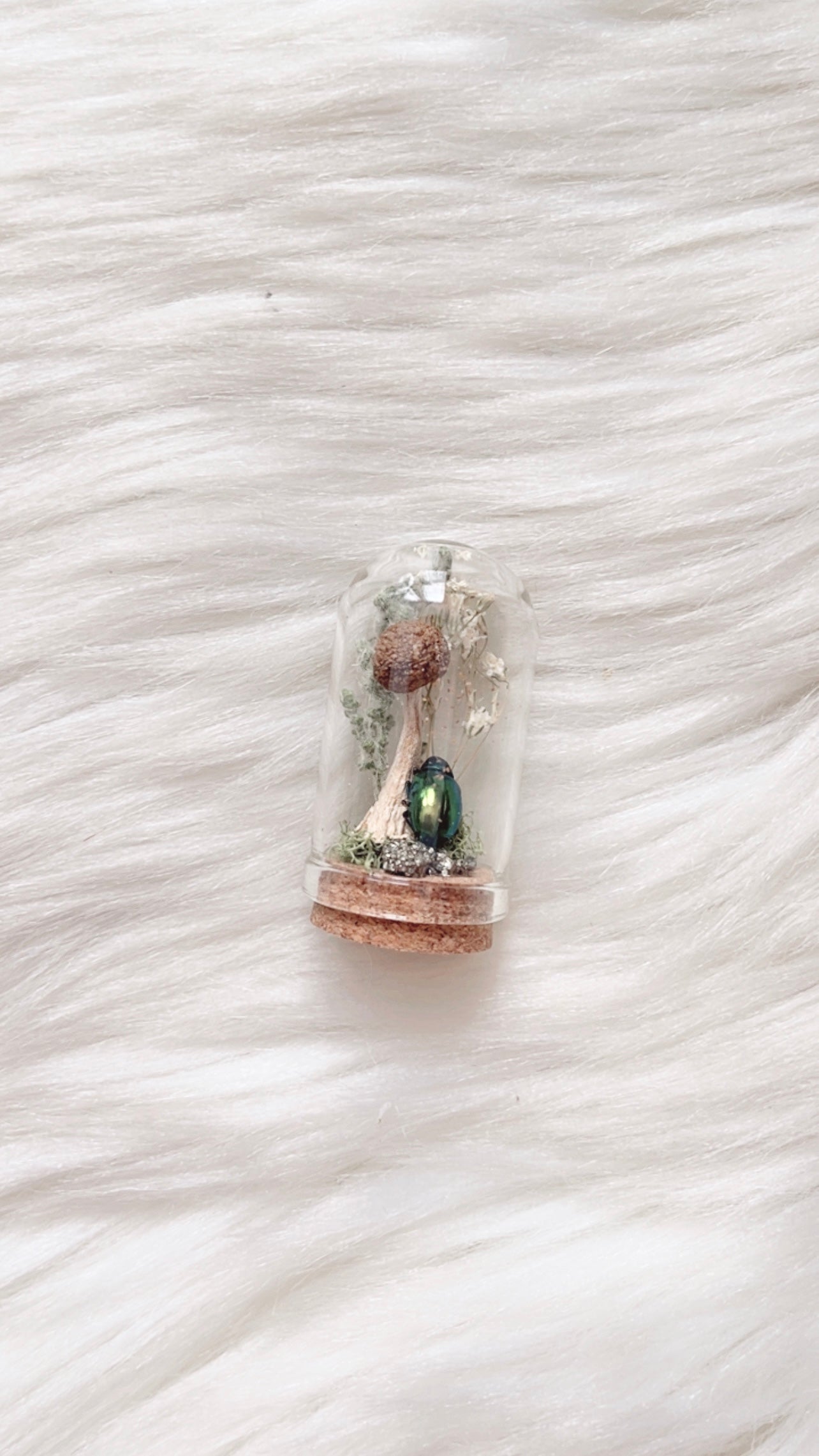 Eva Terrarium