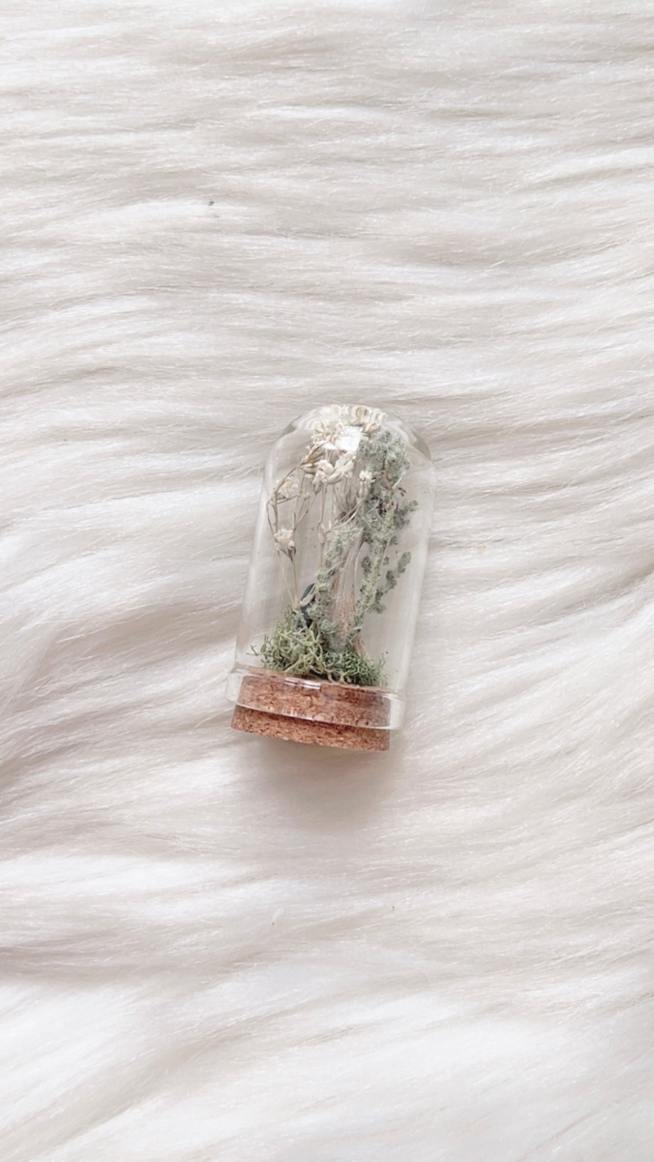 Eva Terrarium