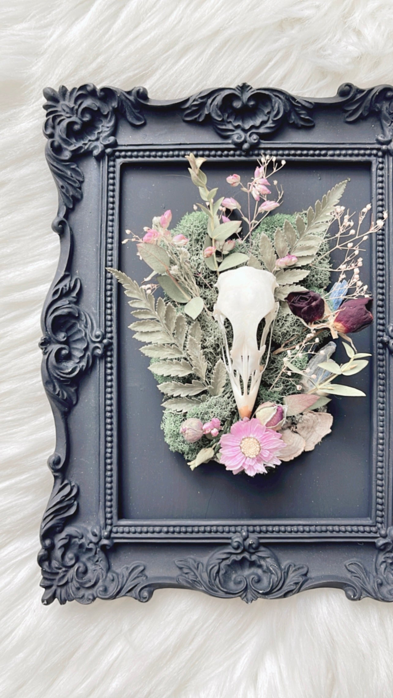 Evelina Oddities Frame <Grouse Skull>
