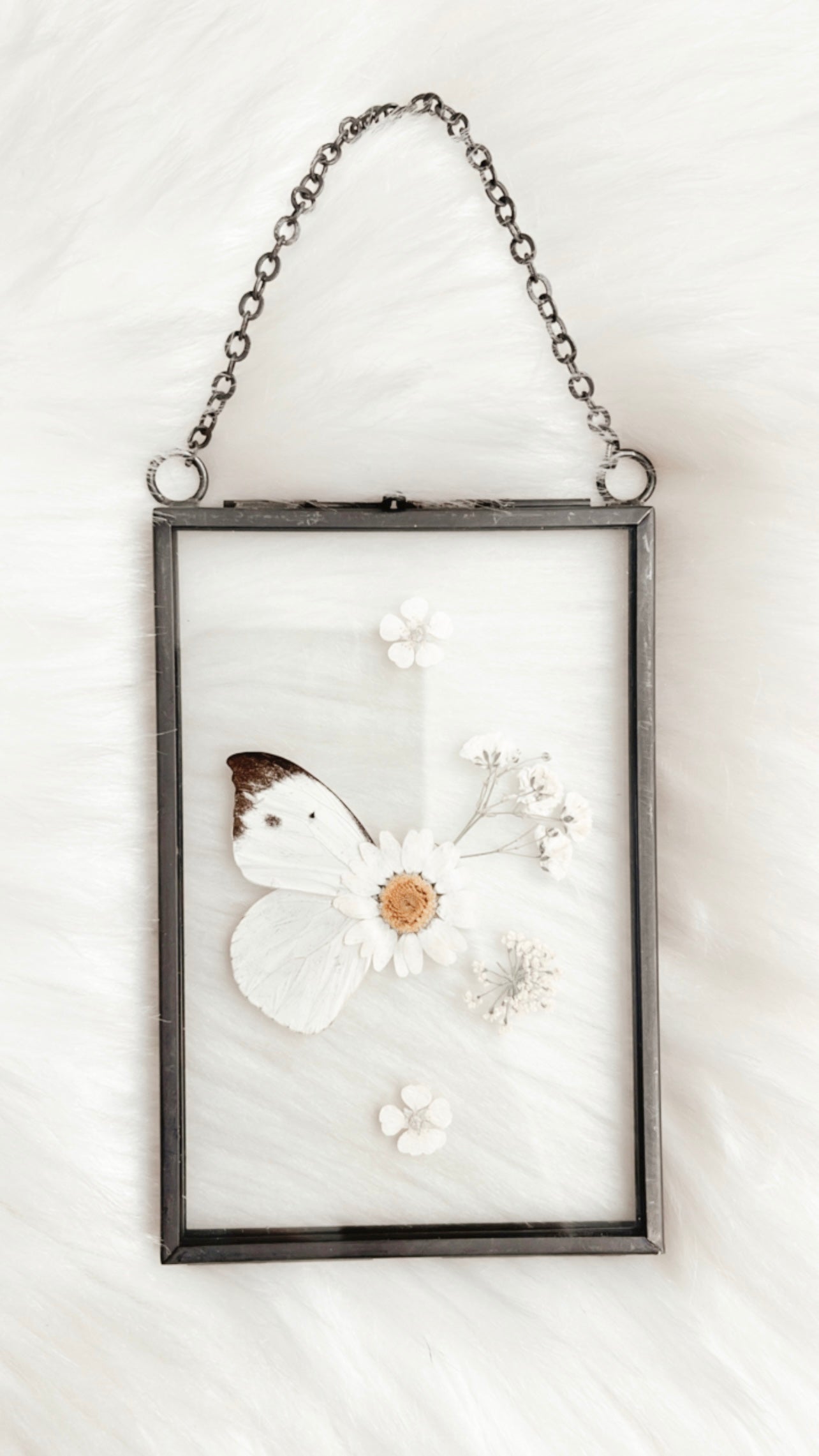 Evelyn Butterfly Floral Frame