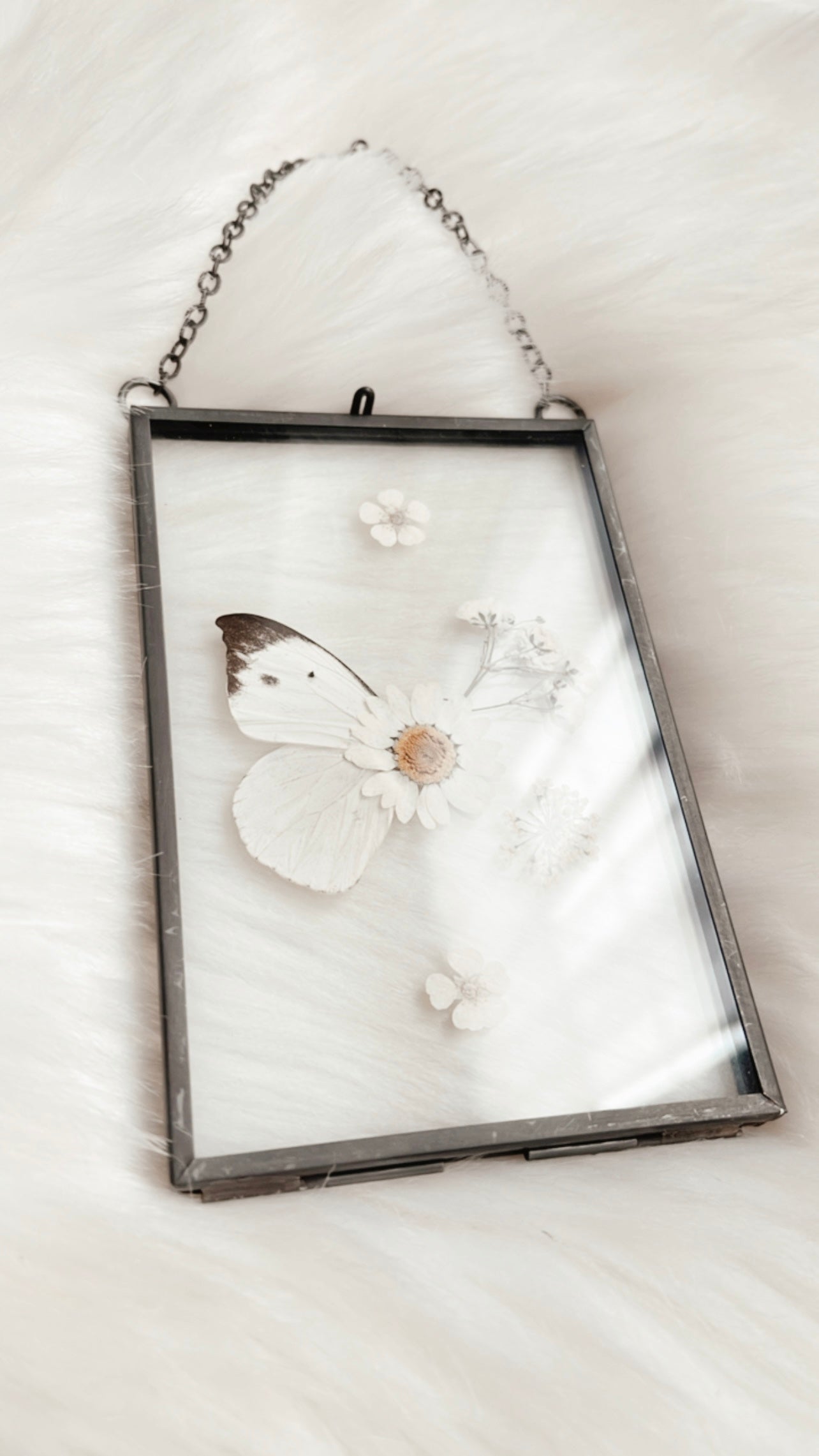 Evelyn Butterfly Floral Frame