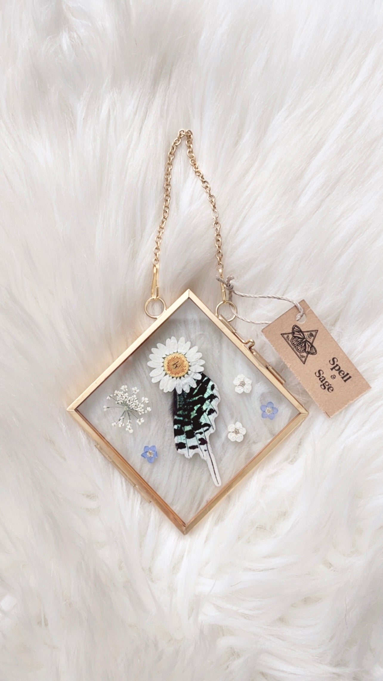 Evelyn Moth Floral Frame <4x4in>