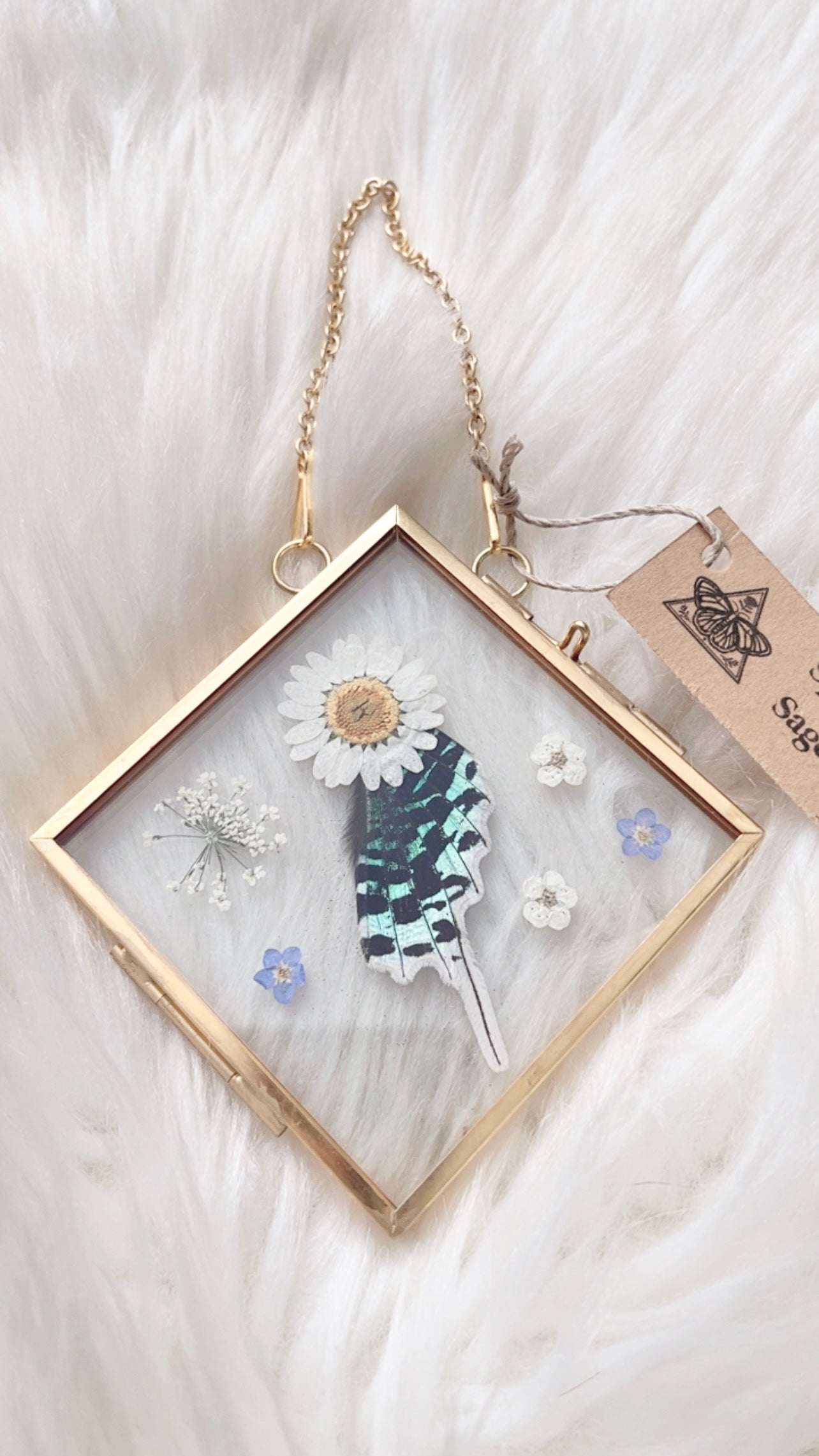 Evelyn Moth Floral Frame <4x4in>