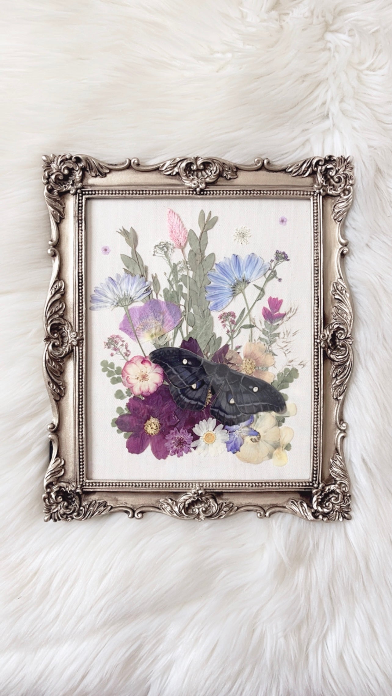 Evelyn Paper Replica Ornate Frame