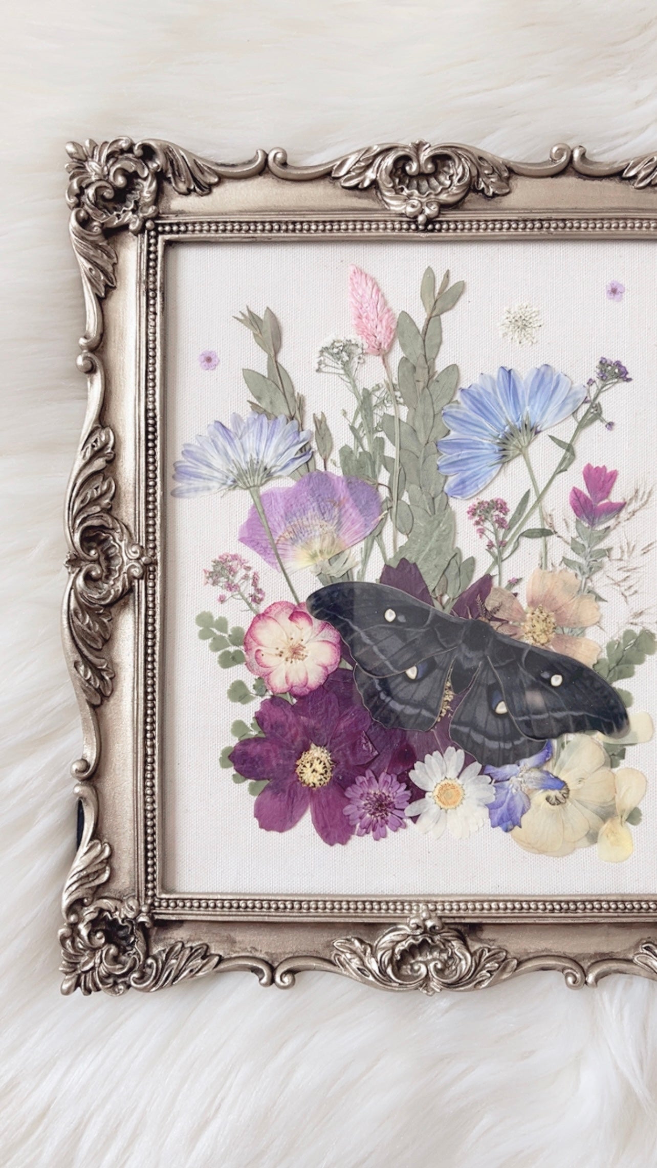 Evelyn Paper Replica Ornate Frame