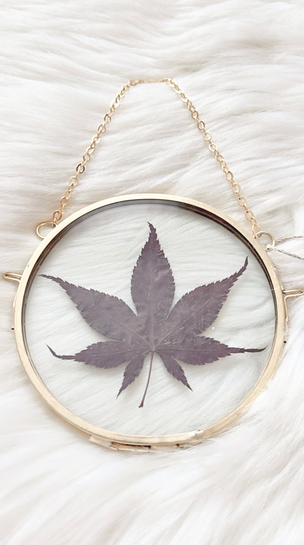 Fauna Leaf Frame <4in>