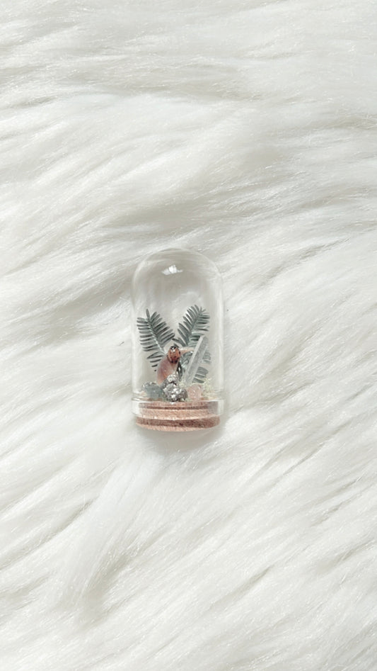 Fauna Terrarium