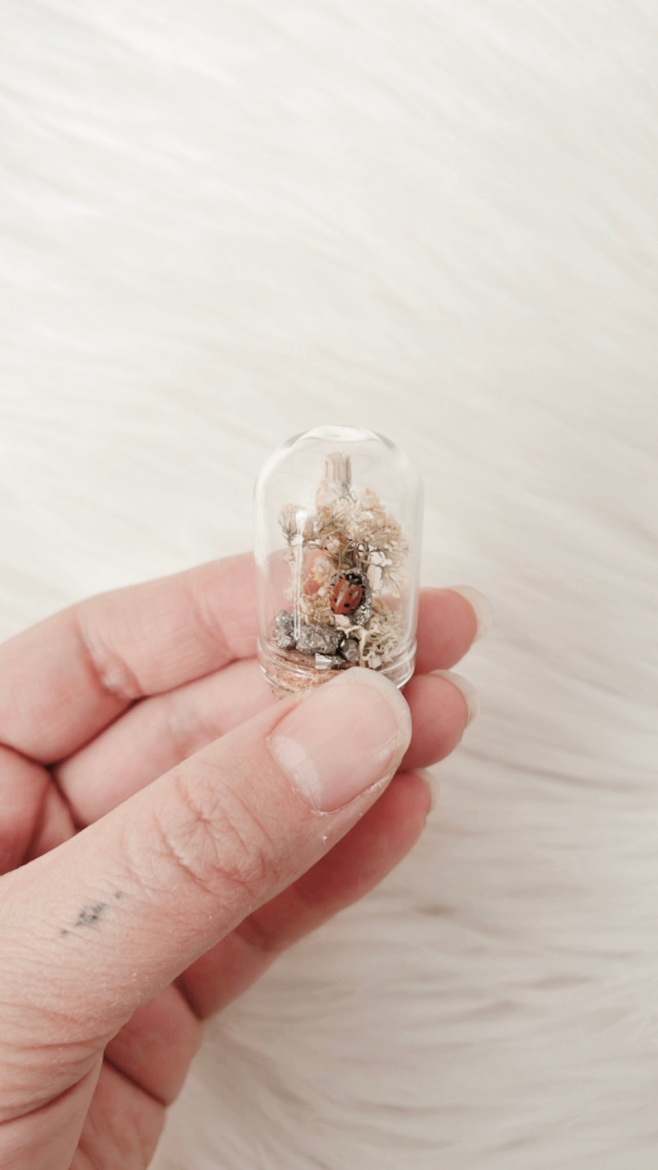 Fawn Mini Terrarium