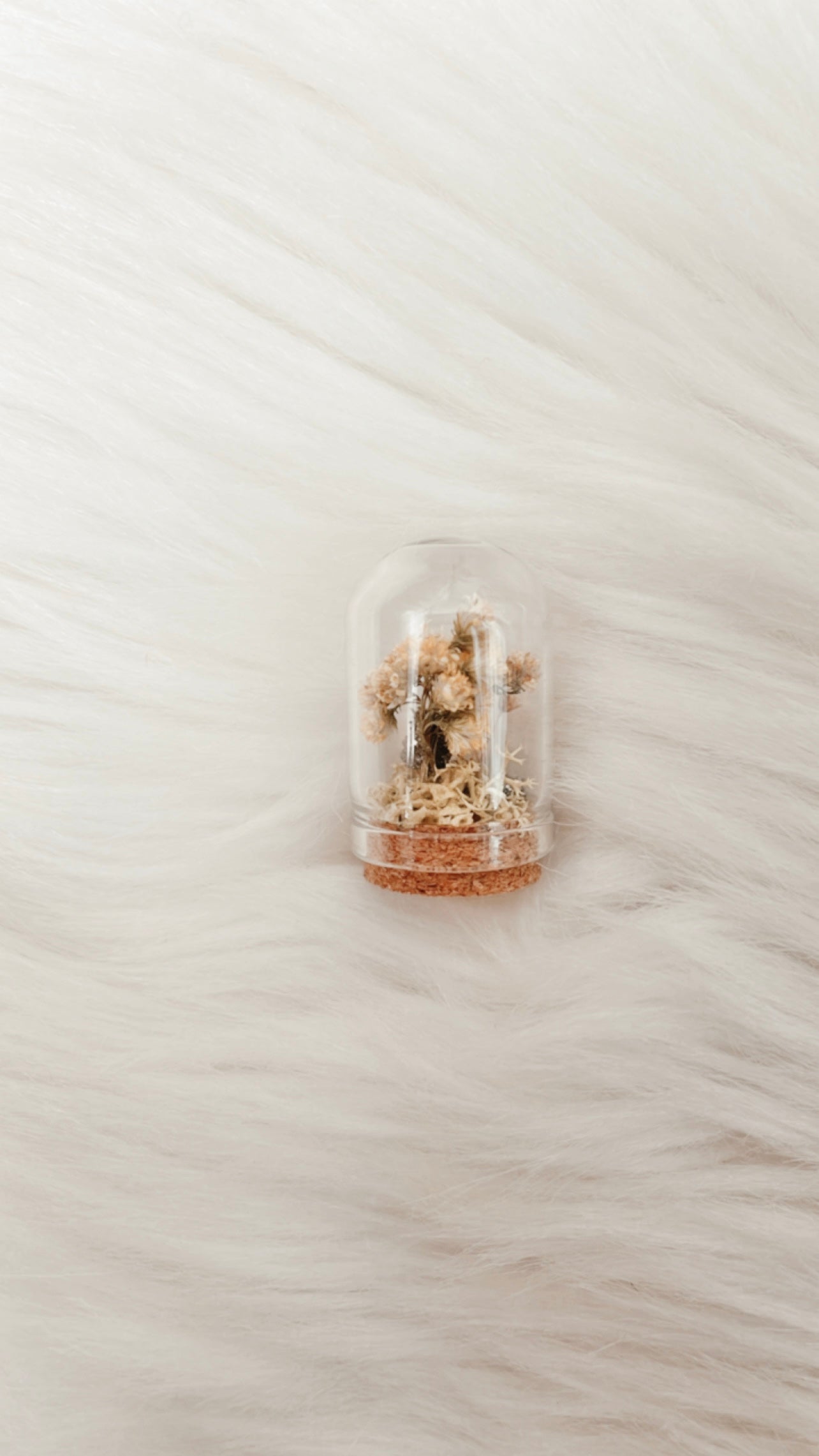 Fawn Mini Terrarium