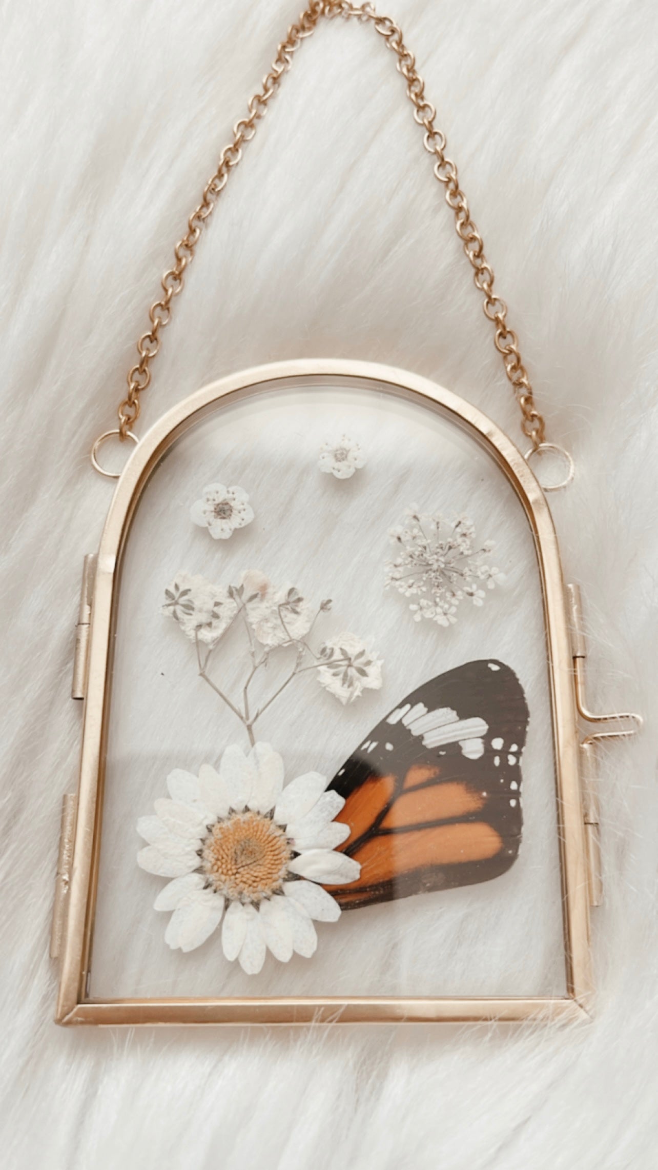 Felicity Butterfly Floral Frame