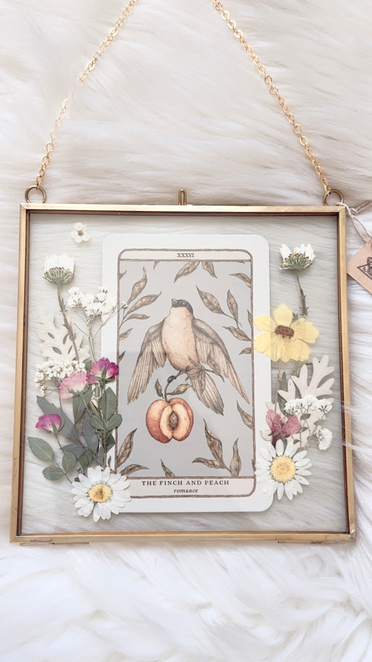 The Finch and Peach Oracle Floral Frame