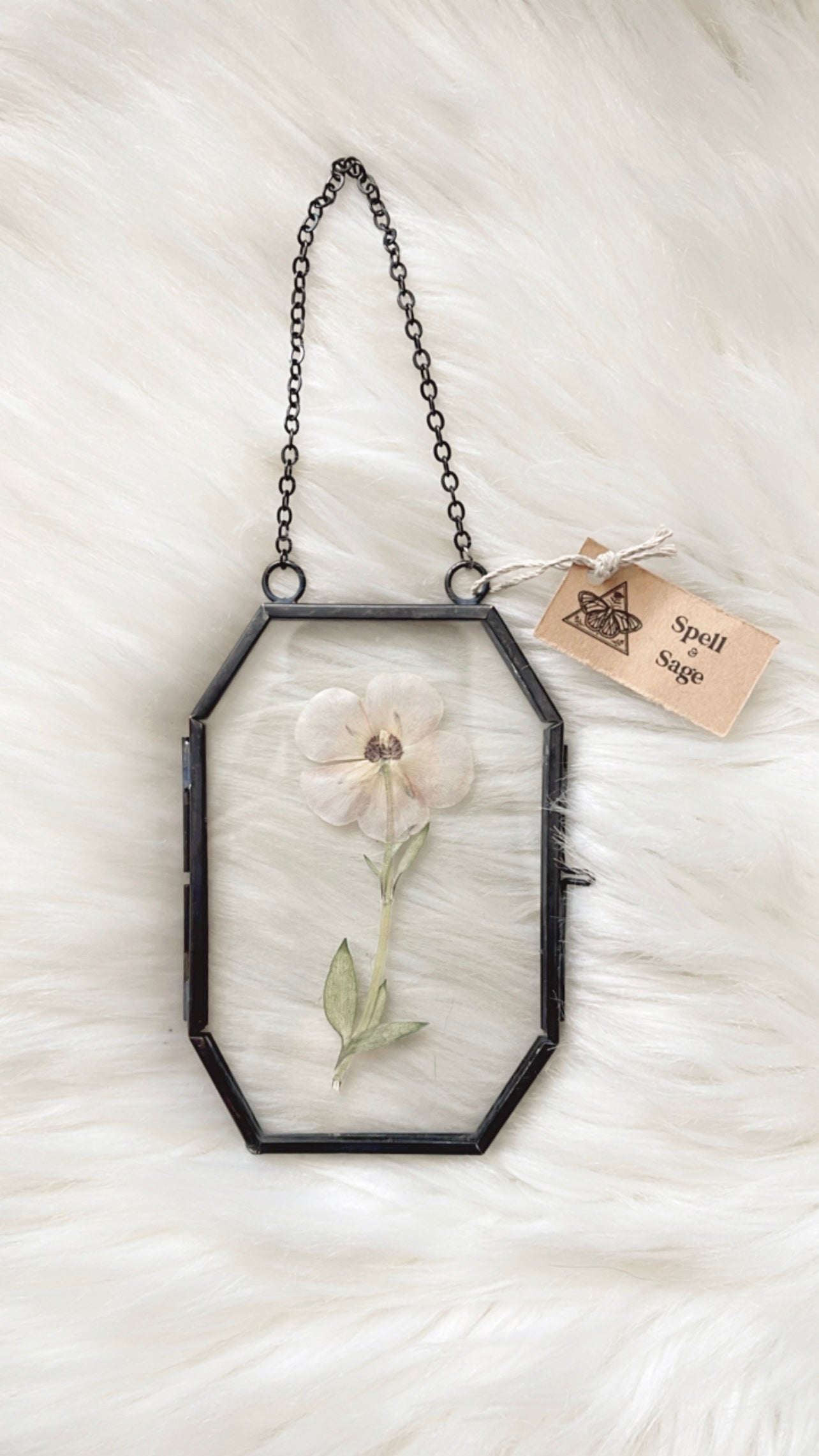 Fiona Floral Frame <3.25x5in>