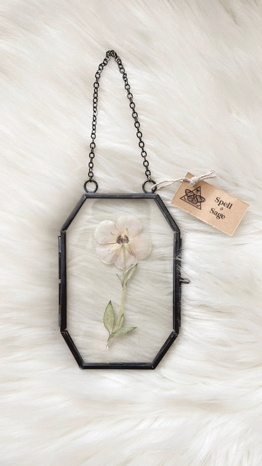 Fiona Floral Frame <3.25x5in>