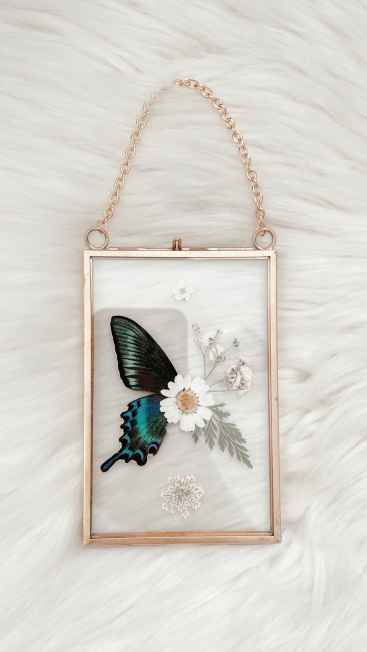 Fiona Butterfly Floral Frame