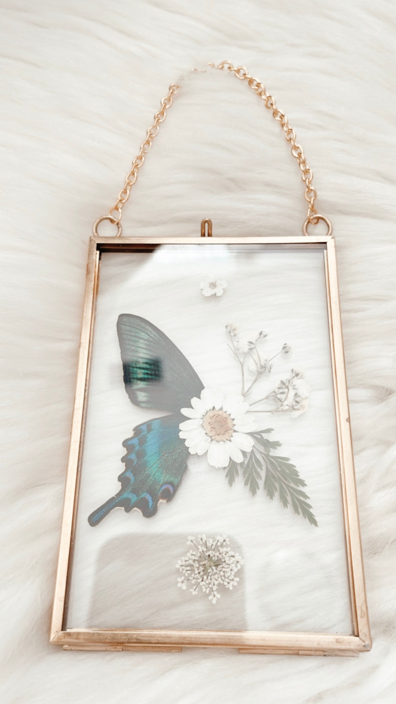 Fiona Butterfly Floral Frame