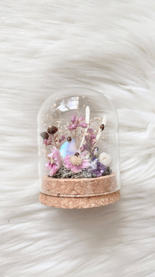 Fiona Terrarium