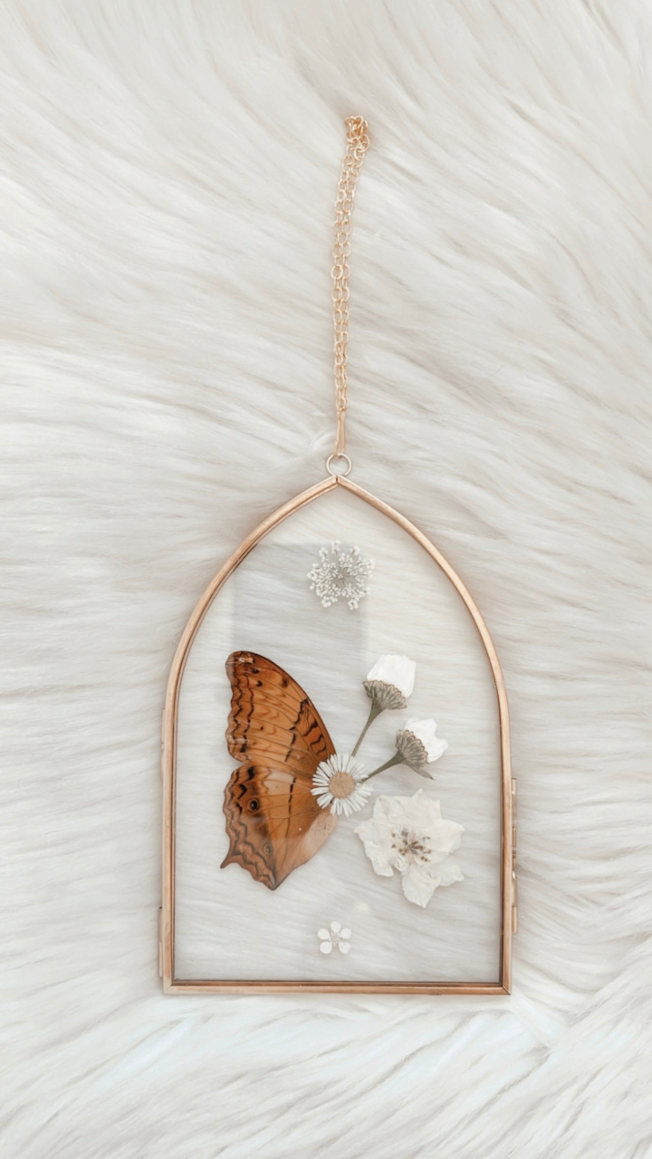 Florence Butterfly Floral Frame