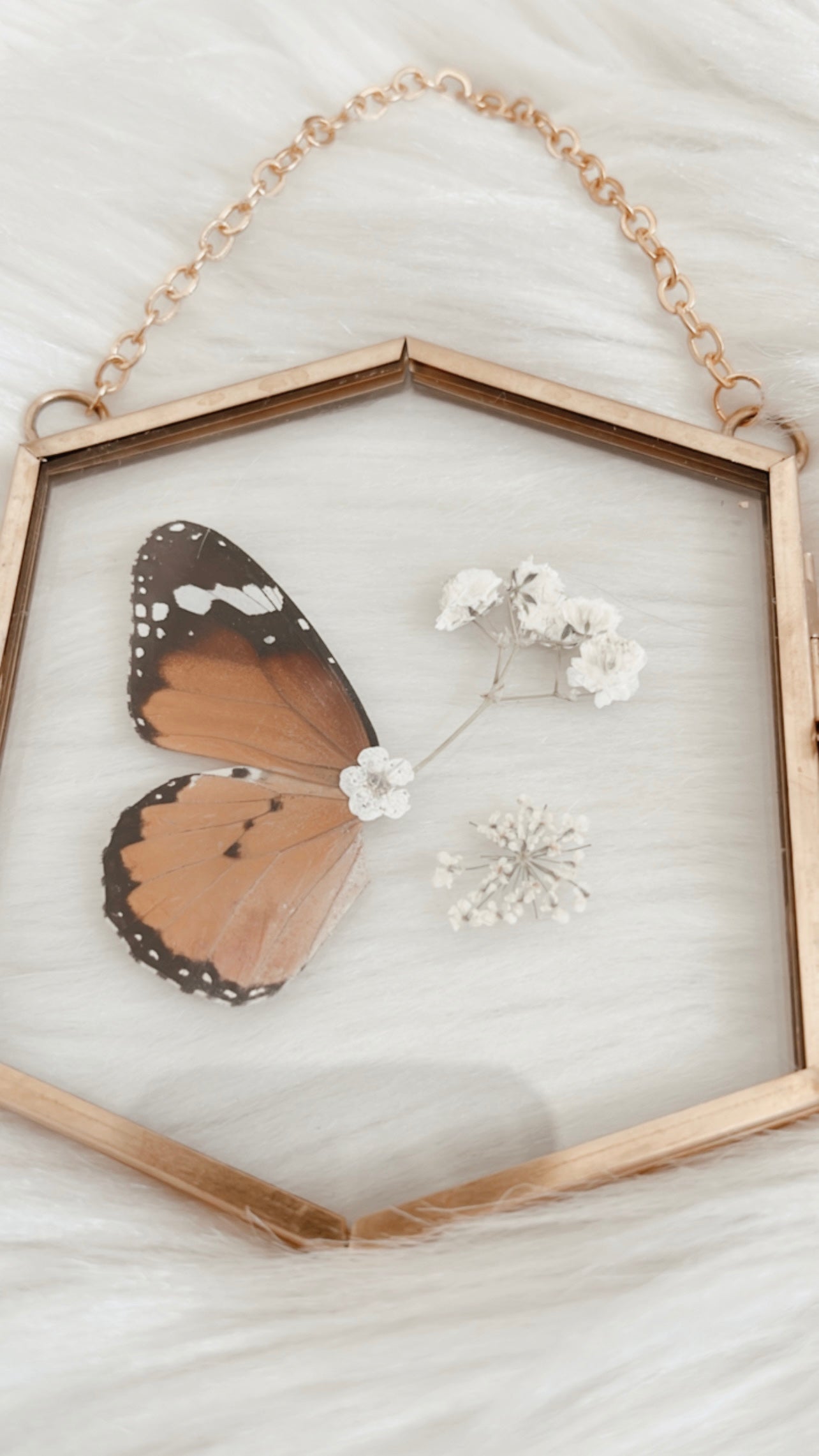 Florence Butterfly Floral Frame