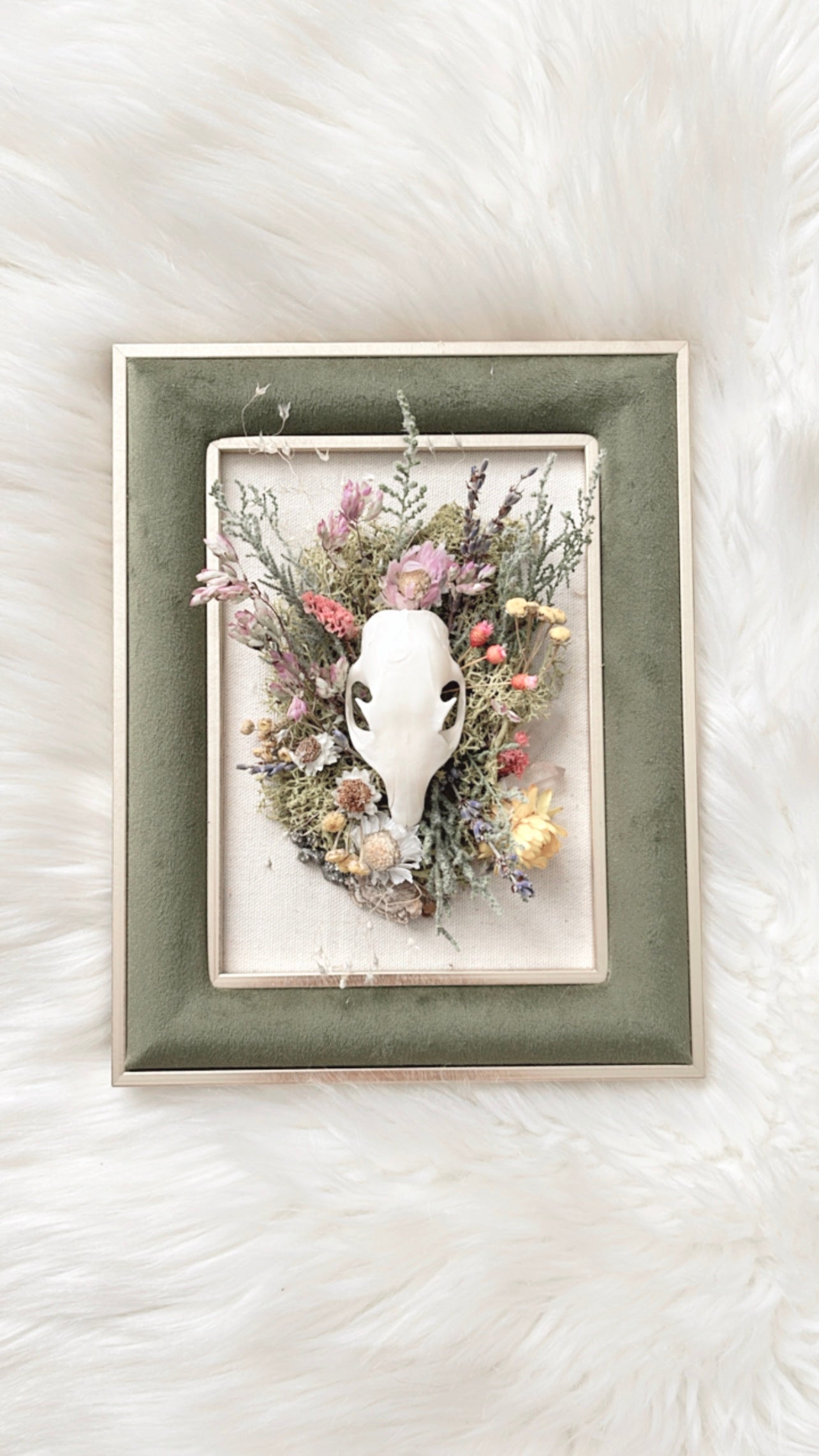 Florence Oddities Frame <Grey Squirrel Skull>