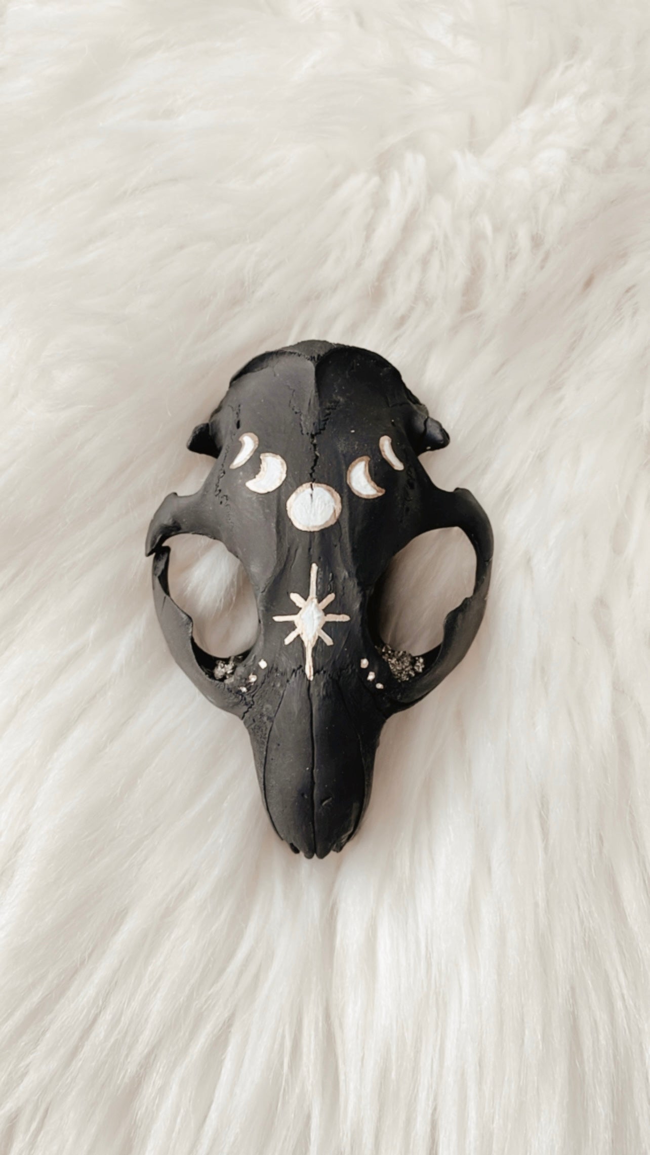 Gayle Beaver Skull