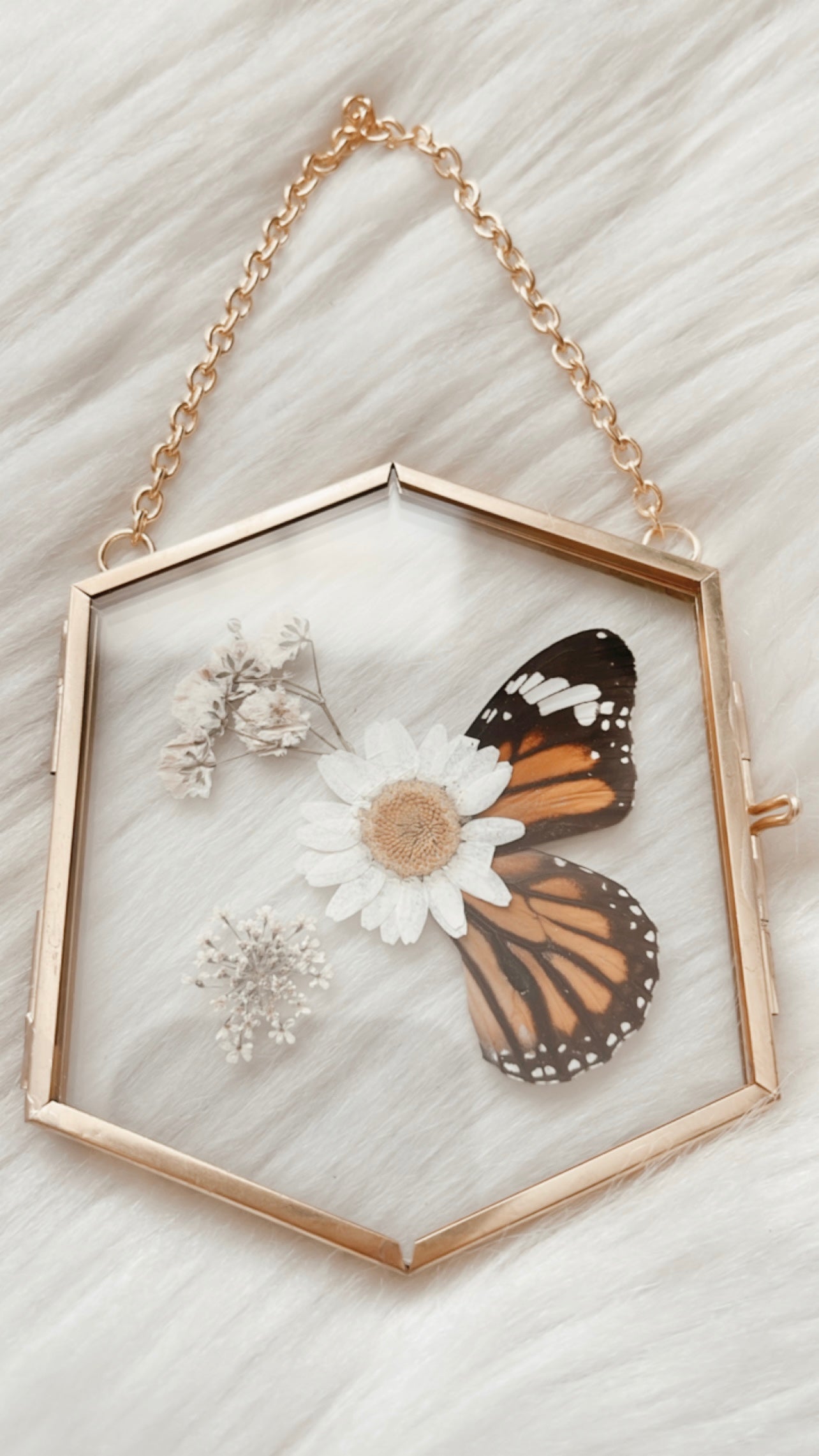 Gayle Butterfly Floral Frame