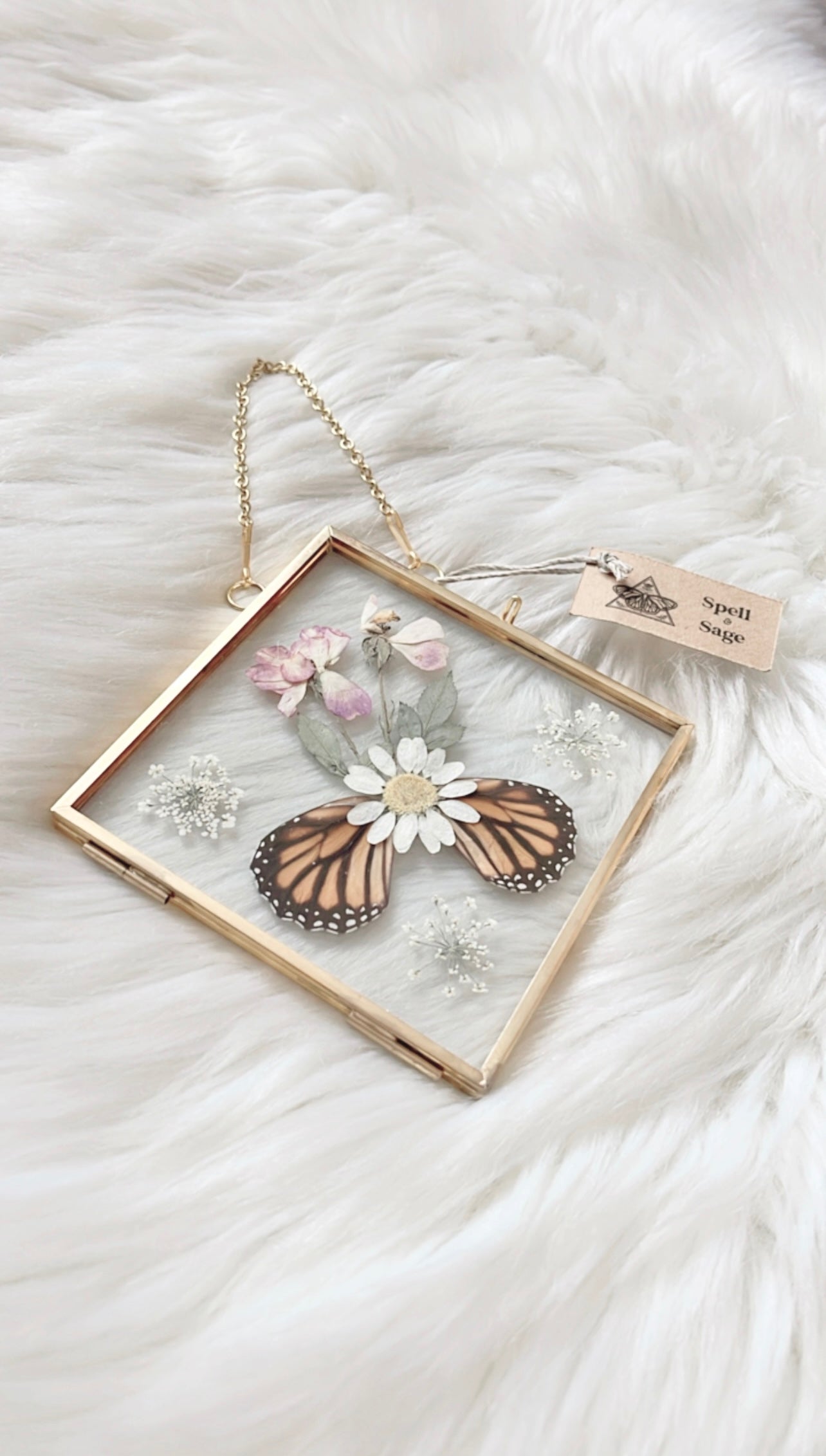 Gayle Butterfly Floral Frame <5.5x5.5in>