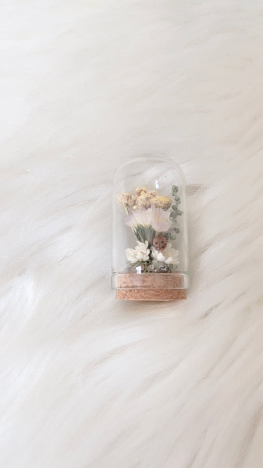 Gemma Mini Terrarium
