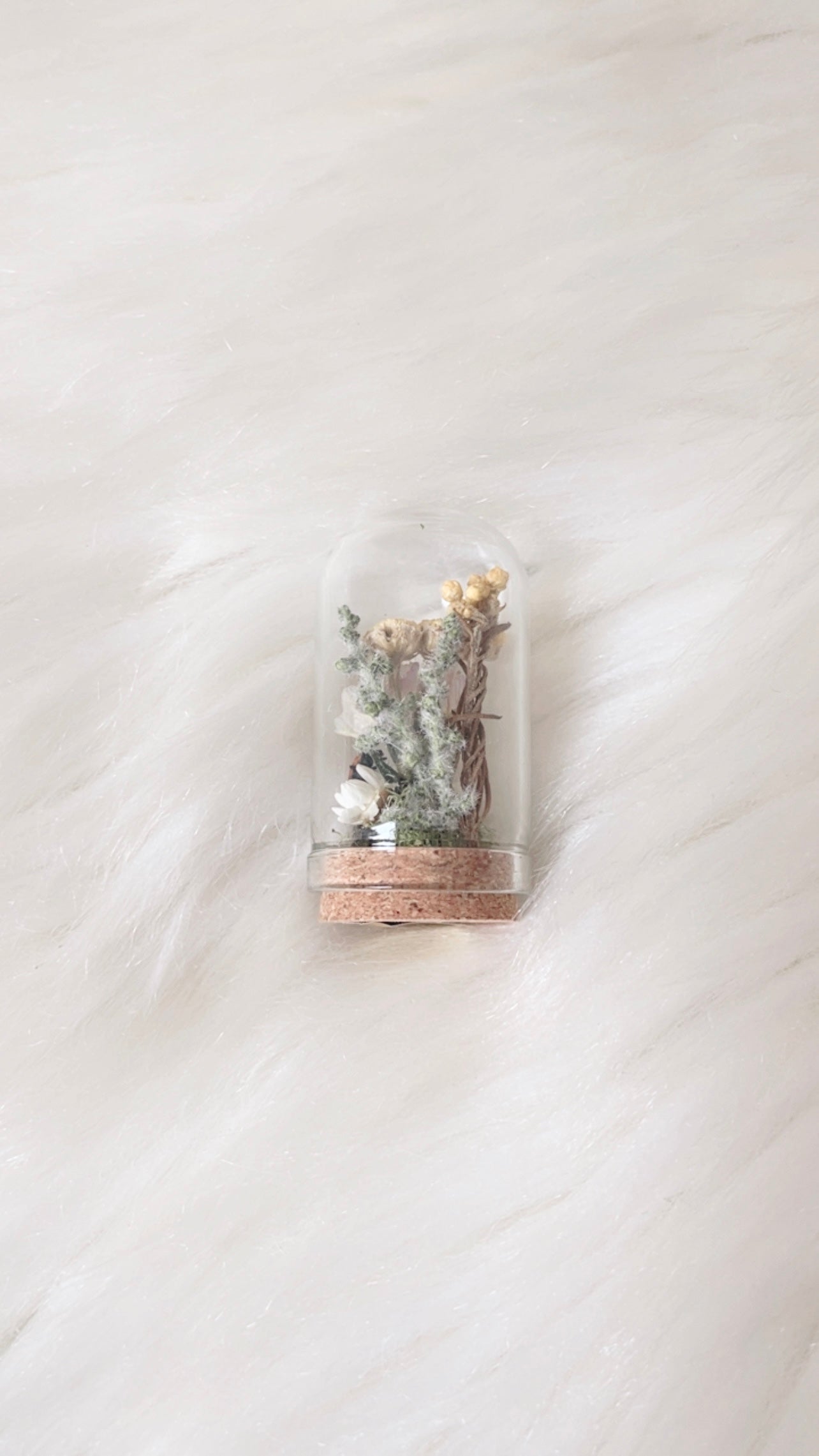 Gemma Mini Terrarium